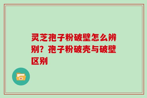 灵芝孢子粉破壁怎么辨别?孢子粉破壳与破壁区别 灵芝孢子粉破壁怎么辨别?孢子粉破壳与破壁区别