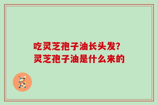 吃灵芝孢子油长头发?灵芝孢子油是什么来的 吃灵芝孢子油长头发?灵芝孢子油是什么来的