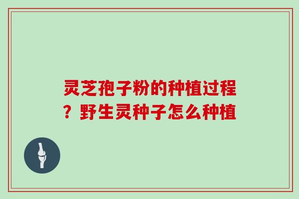 灵芝孢子粉的种植过程?野生灵种子怎么种植 灵芝孢子粉的种植过程?野生灵种子怎么种植