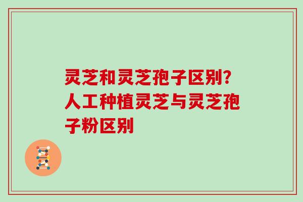 灵芝和灵芝孢子区别?人工种植灵芝与灵芝孢子粉区别 灵芝和灵芝孢子区别?人工种植灵芝与灵芝孢子粉区别