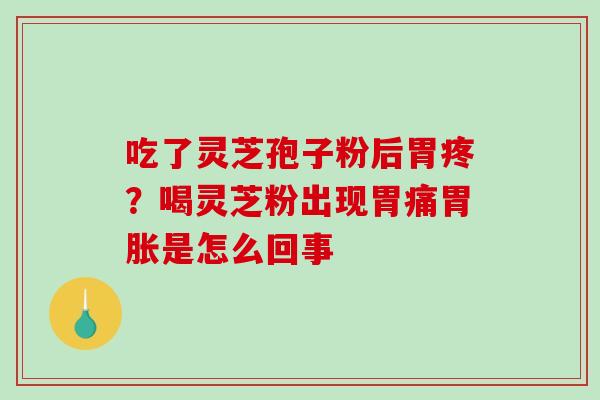 吃了灵芝孢子粉后胃疼？喝灵芝粉出现胃痛胃胀是怎么回事