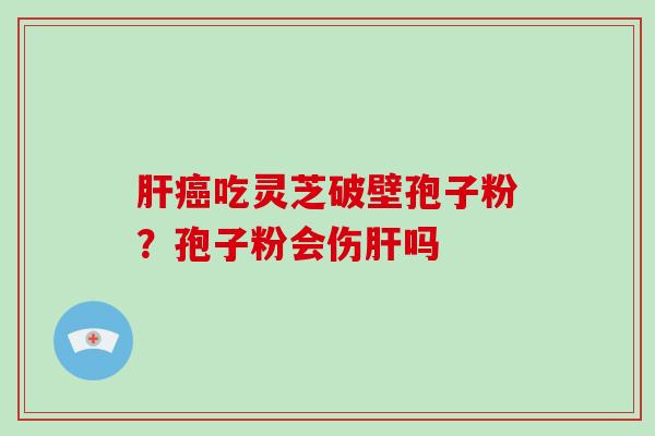 吃灵芝破壁孢子粉?孢子粉会伤吗 吃灵芝破壁孢子粉?孢子粉会伤吗
