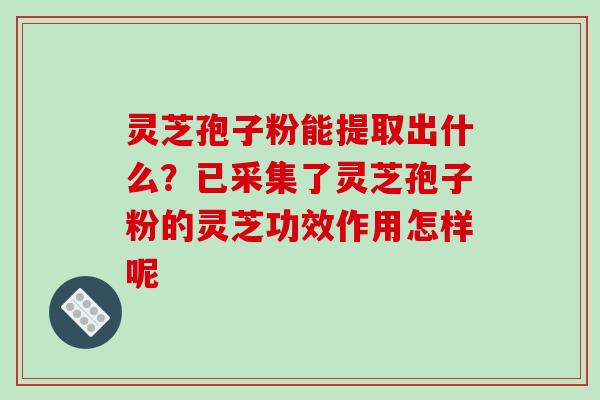 灵芝孢子粉能提取出什么?已采集了灵芝孢子粉的灵芝功效作用怎样呢 灵芝孢子粉能提取出什么?已采集了灵芝孢子粉的灵芝功效作用怎样呢
