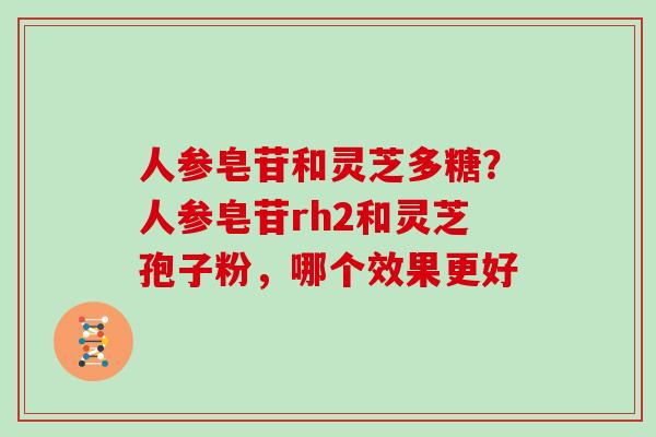 人参皂苷和灵芝多糖?人参皂苷rh2和灵芝孢子粉,哪个效果更好 人参皂苷和灵芝多糖?人参皂苷rh2和灵芝孢子粉,哪个效果更好