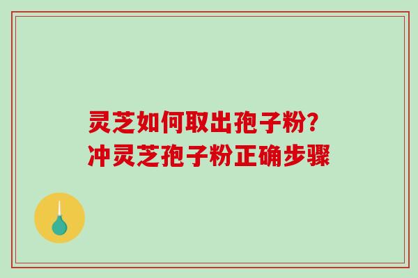 灵芝如何取出孢子粉？冲灵芝孢子粉正确步骤