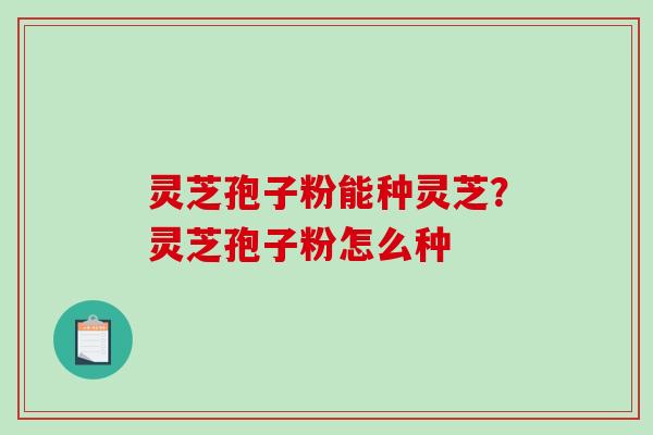 灵芝孢子粉能种灵芝?灵芝孢子粉怎么种 灵芝孢子粉能种灵芝?灵芝孢子粉怎么种