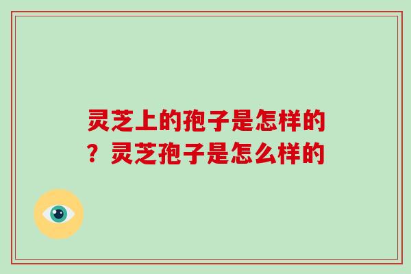灵芝上的孢子是怎样的?灵芝孢子是怎么样的 灵芝上的孢子是怎样的?灵芝孢子是怎么样的