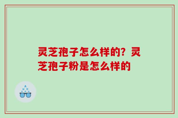 灵芝孢子怎么样的？灵芝孢子粉是怎么样的