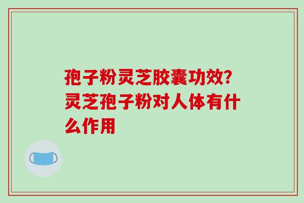 孢子粉灵芝胶囊功效?灵芝孢子粉对人体有什么作用 孢子粉灵芝胶囊功效?灵芝孢子粉对人体有什么作用