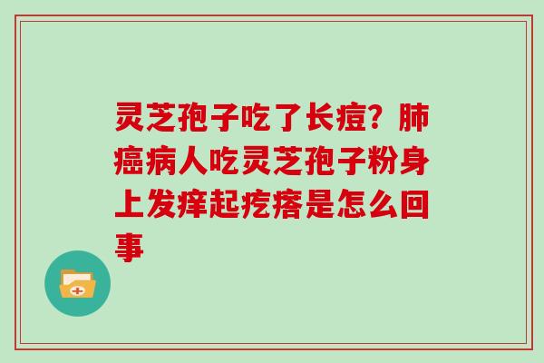 灵芝孢子吃了长痘？人吃灵芝孢子粉身上发痒起疙瘩是怎么回事