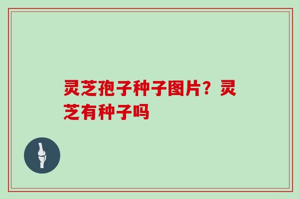 灵芝孢子种子图片？灵芝有种子吗
