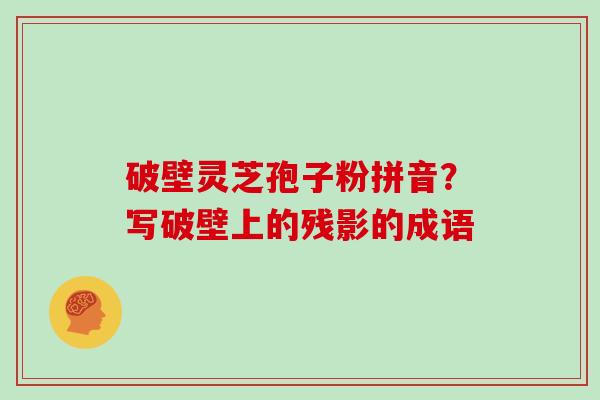 破壁灵芝孢子粉拼音?写破壁上的残影的成语 破壁灵芝孢子粉拼音?写破壁上的残影的成语
