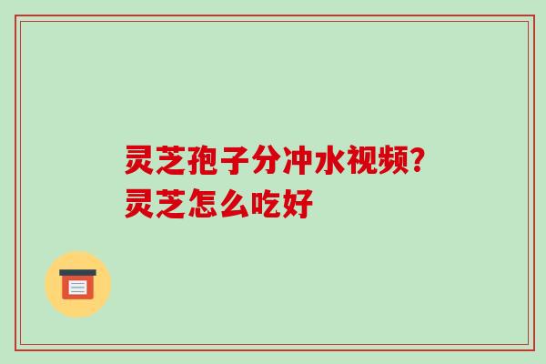 灵芝孢子分冲水视频？灵芝怎么吃好