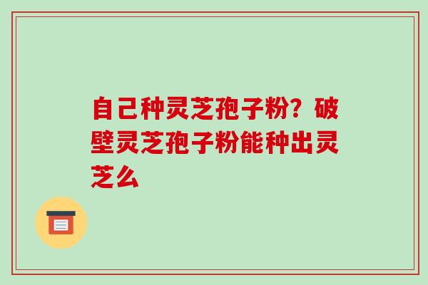 自己种灵芝孢子粉？破壁灵芝孢子粉能种出灵芝么