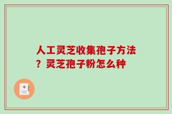 人工灵芝收集孢子方法?灵芝孢子粉怎么种 人工灵芝收集孢子方法?灵芝孢子粉怎么种
