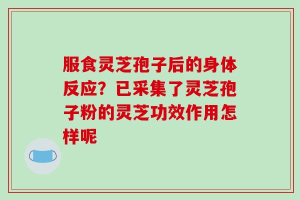 服食灵芝孢子后的身体反应？已采集了灵芝孢子粉的灵芝功效作用怎样呢