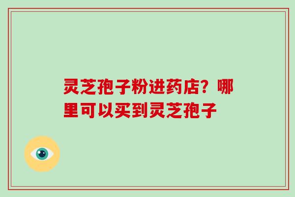 灵芝孢子粉进药店？哪里可以买到灵芝孢子