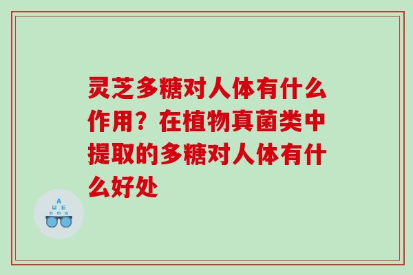 灵芝多糖对人体有什么作用？在植物真菌类中提取的多糖对人体有什么好处