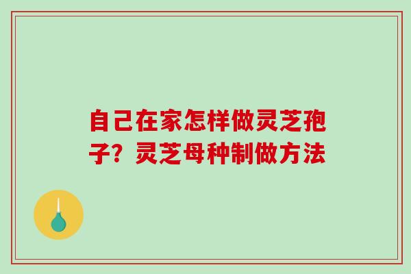 自己在家怎样做灵芝孢子？灵芝母种制做方法
