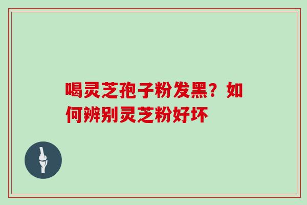 喝灵芝孢子粉发黑？如何辨别灵芝粉好坏