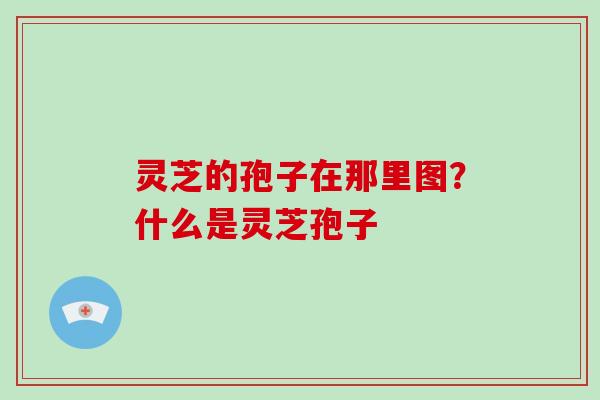 灵芝的孢子在那里图?什么是灵芝孢子 灵芝的孢子在那里图?什么是灵芝孢子