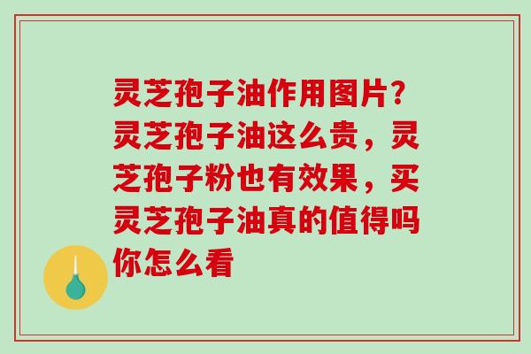 灵芝孢子油作用图片？灵芝孢子油这么贵，灵芝孢子粉也有效果，买灵芝孢子油真的值得吗你怎么看