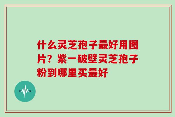 什么灵芝孢子好用图片？紫一破壁灵芝孢子粉到哪里买好