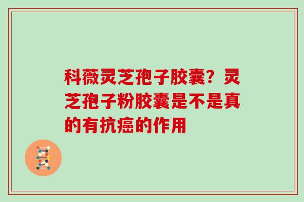 科薇灵芝孢子胶囊?灵芝孢子粉胶囊是不是真的有抗的作用 科薇灵芝孢子胶囊?灵芝孢子粉胶囊是不是真的有抗的作用