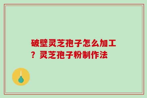 破壁灵芝孢子怎么加工？灵芝孢子粉制作法