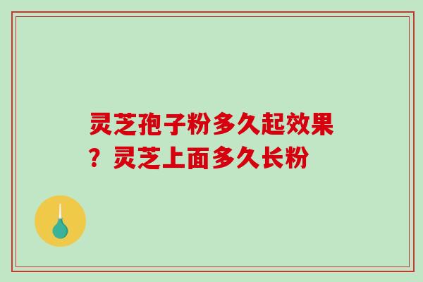 灵芝孢子粉多久起效果?灵芝上面多久长粉 灵芝孢子粉多久起效果?灵芝上面多久长粉