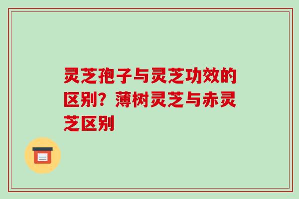 灵芝孢子与灵芝功效的区别？薄树灵芝与赤灵芝区别