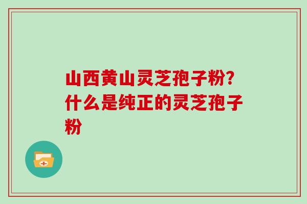 山西黄山灵芝孢子粉?什么是纯正的灵芝孢子粉 山西黄山灵芝孢子粉?什么是纯正的灵芝孢子粉