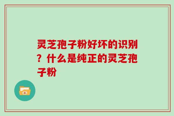 灵芝孢子粉好坏的识别?什么是纯正的灵芝孢子粉 灵芝孢子粉好坏的识别?什么是纯正的灵芝孢子粉