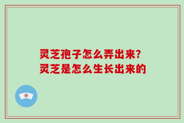 灵芝孢子怎么弄出来？灵芝是怎么生长出来的