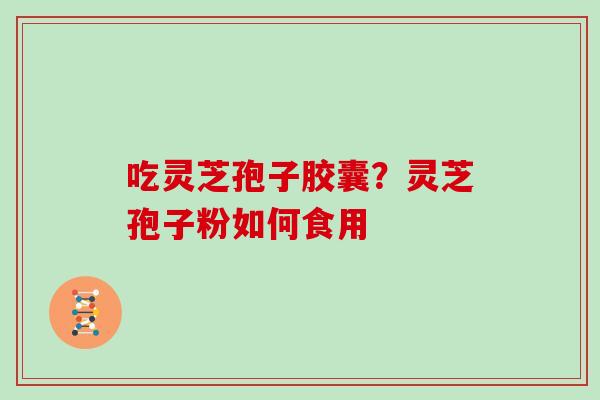吃灵芝孢子胶囊？灵芝孢子粉如何食用