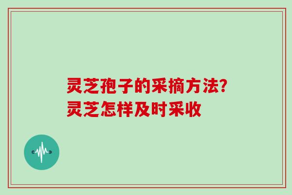 灵芝孢子的采摘方法？灵芝怎样及时采收