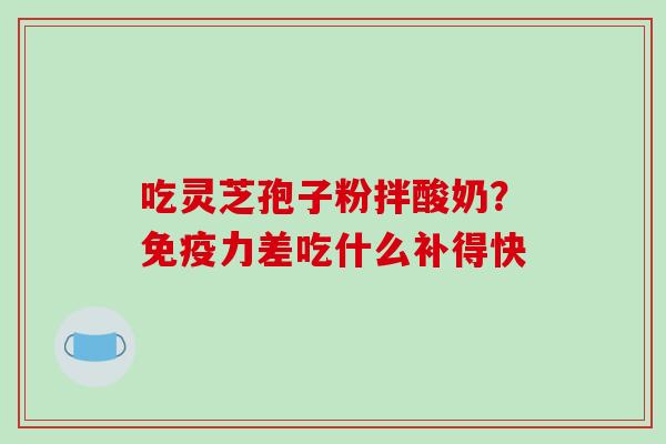 吃灵芝孢子粉拌酸奶？免疫力差吃什么补得快