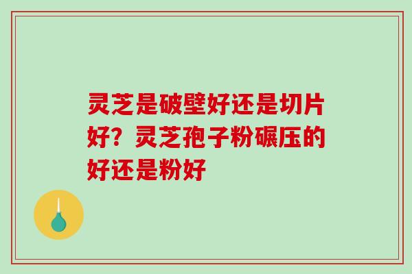 灵芝是破壁好还是切片好？灵芝孢子粉碾压的好还是粉好
