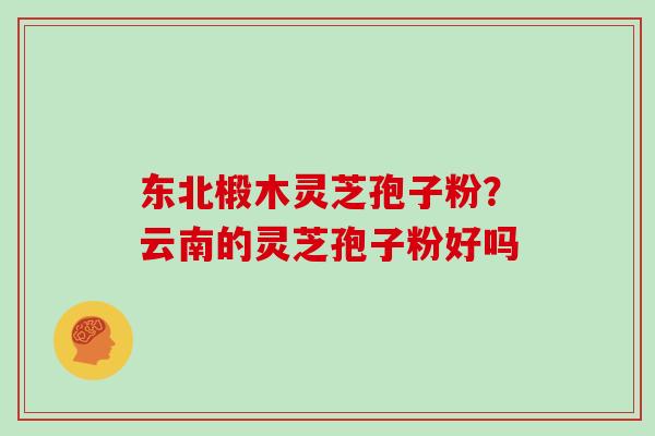 东北椴木灵芝孢子粉？云南的灵芝孢子粉好吗