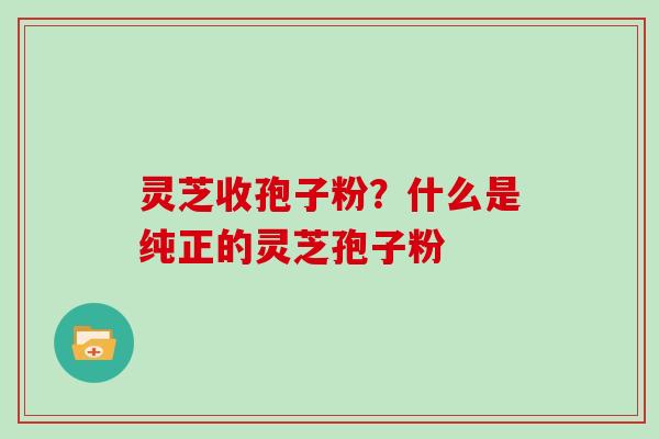 灵芝收孢子粉?什么是纯正的灵芝孢子粉 灵芝收孢子粉?什么是纯正的灵芝孢子粉