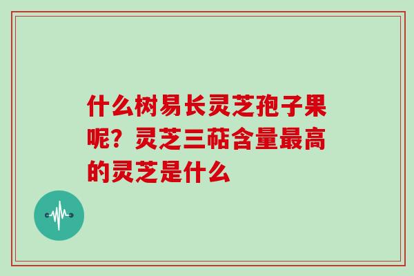 什么树易长灵芝孢子果呢?灵芝三萜含量高的灵芝是什么 什么树易长灵芝孢子果呢?灵芝三萜含量高的灵芝是什么
