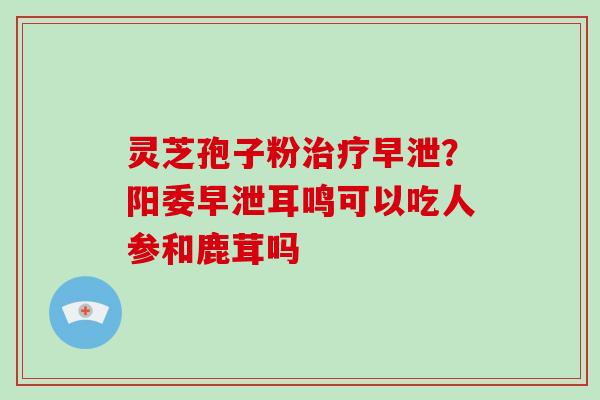 灵芝孢子粉？阳委耳鸣可以吃人参和鹿茸吗