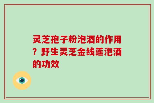 灵芝孢子粉泡酒的作用？野生灵芝金线莲泡酒的功效