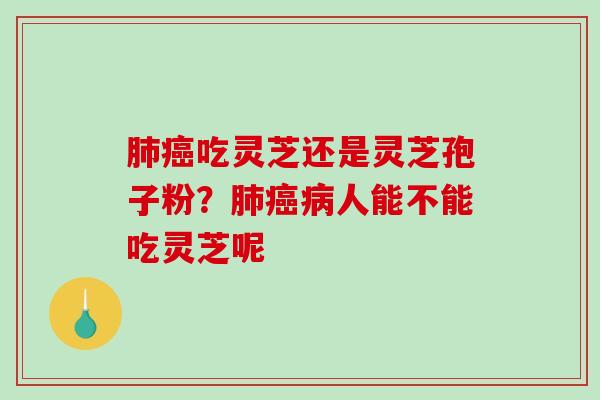 吃灵芝还是灵芝孢子粉?人能不能吃灵芝呢 吃灵芝还是灵芝孢子粉?人能不能吃灵芝呢