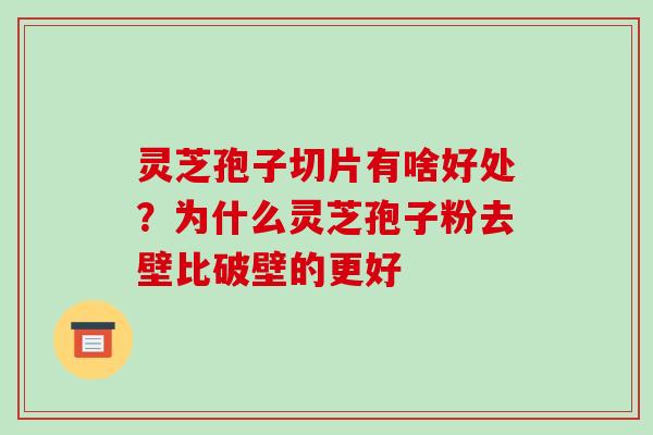 灵芝孢子切片有啥好处？为什么灵芝孢子粉去壁比破壁的更好