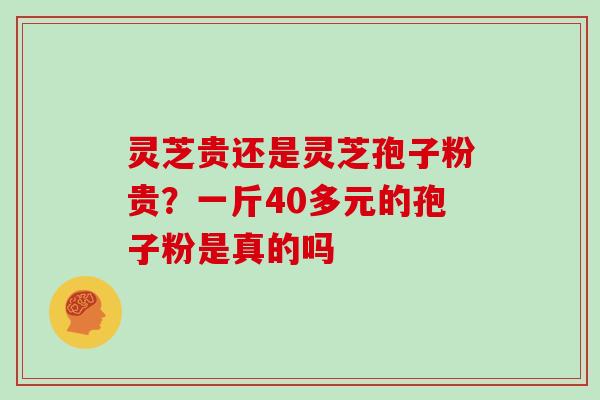 灵芝贵还是灵芝孢子粉贵?一斤40多元的孢子粉是真的吗 灵芝贵还是灵芝孢子粉贵?一斤40多元的孢子粉是真的吗