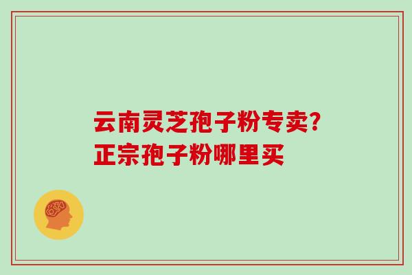 云南灵芝孢子粉专卖?正宗孢子粉哪里买 云南灵芝孢子粉专卖?正宗孢子粉哪里买