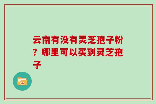 云南有没有灵芝孢子粉？哪里可以买到灵芝孢子