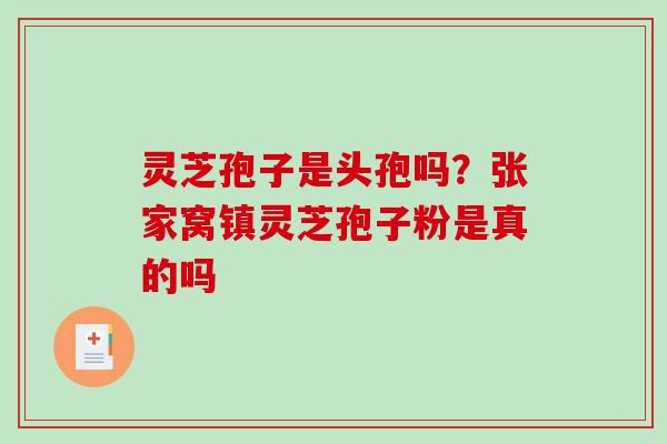灵芝孢子是头孢吗?张家窝镇灵芝孢子粉是真的吗 灵芝孢子是头孢吗?张家窝镇灵芝孢子粉是真的吗