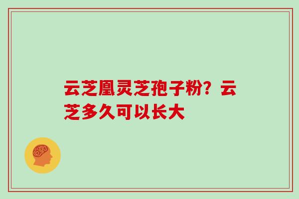 云芝凰灵芝孢子粉?云芝多久可以长大 云芝凰灵芝孢子粉?云芝多久可以长大